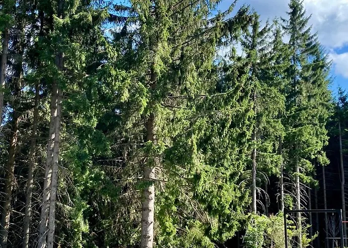Severka Chalet Háj